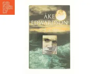 Sejl af sten af Åke Edwardson (Bog)