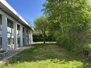 Kontorlokaler i kreativt miljø