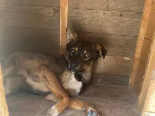 Sødeste Edgar