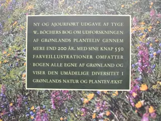 det grønne grønland, af tyge w. böcher