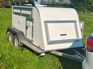 Selandia hundetrailer 