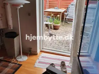 Hjembytte - Rønnebærvænge