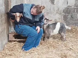 2 gedekid fra januar måned