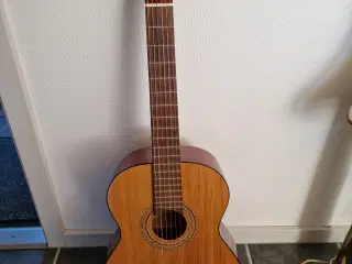 Guitar Resonata