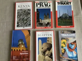 Rejsebøger