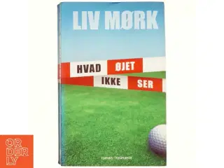 Hvad øjet ikke ser : en kriminalroman af Liv Mørk (Bog)