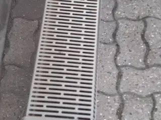 EL rediato
