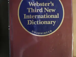 webster's third new international dictionary of th