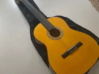 Guitar (udlejning)