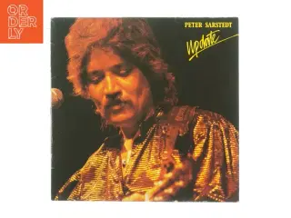 Peter Sarstedt - Update Vinylplade (str. 30 x 31 cm)
