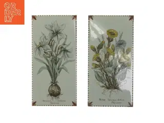 Blomsterillustrationer på fliser (str. 10x20 cm)