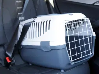 Transportkasse / boks - Gulliver med metal låge