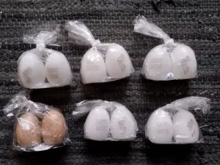 Nyt Påske pynt