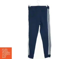 Adidas sweatpants (str. 146 cm)