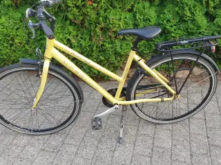 Mosquito citybike