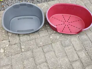 2stk rigtig fine hunde kurve 