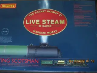 Model tog Life steam "Flying Scotsman"