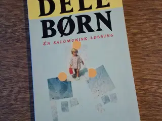 DELEBØRN, - EN SALOMONISK LØSNING 