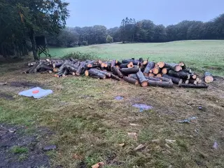 rødgran i ca. 1 meter stykker 20 rm.