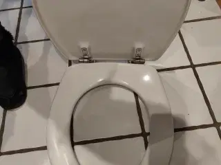 Toilet bræt