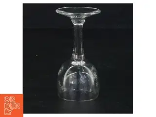 Gravererede dessertvinvinglass (str. 8 x ø 4 cm)
