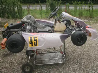 RM1 Rotax DD2 gokart