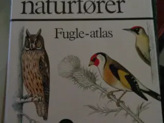 Fugle-atlas