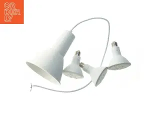 Plante lys pendel med ekstra pærer (str. Lampe. ø. 17,5 cm. længde. og 20 cm. pære. ø. 9,5 cm. længde. 12 cm)