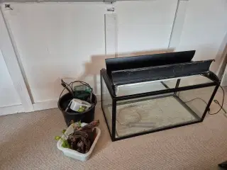 250 L akvarie m/alt udstyr