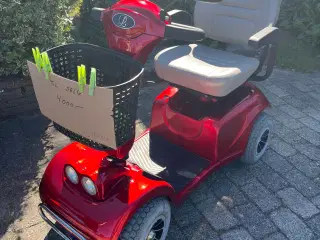 El scooter