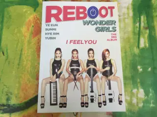 K-Pop; Wonder Girls, Amber Liu (f(x))