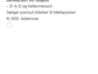 Koncertbillet til Mølleprken