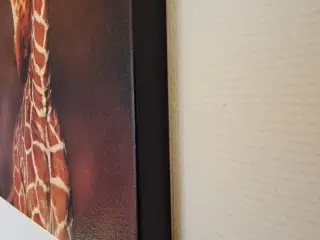 Giraf billede A2, 42x60 cm