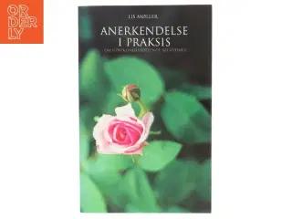 Anerkendelse i praksis : om udviklingsstøttende relationer af Lis Møller (f. 1957-09-14) (Bog)