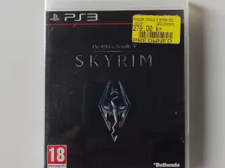 The Elder scrolls V - Skyrim