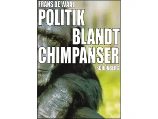 Politik blandt Chimpanser