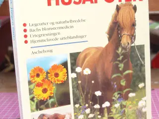 Hestens Husapotek af Dr.med.vet. Jürgen Bartz