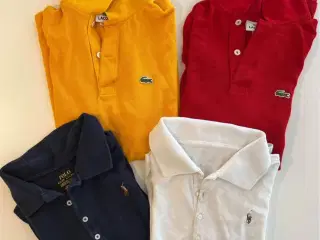 Poloshirt fra Lacoste og Ralph Lauren til børn/ung