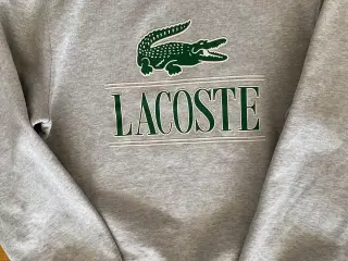 Lacoste trøje i grå 