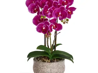 Kunstig plante Orkide 50 cm