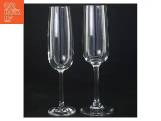 Champagneglas (str. 21 x 7 cm og 21 x 5 cm)
