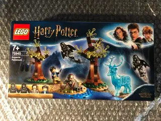Lego 57946 Harry Potter Horntail Triwizard