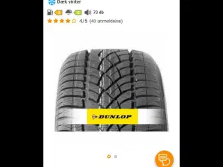 Dunlop Vinterdæk