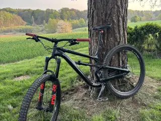 Cannondale Mountainbike 