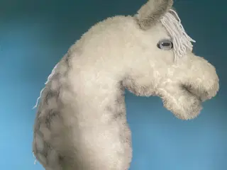 Kæphest, hobbyhorse 