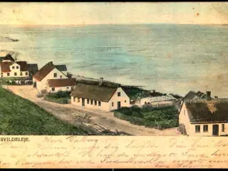 Tisvildeleje - Peter Alstrup 510 - Brugt