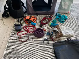 Div. hundeudstyr