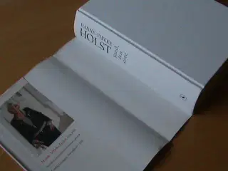 Bog Hanne-Vibeke Holst, Knud den store