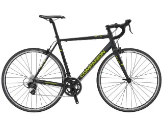 Companion R1.0 