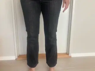 Denim bootcut jeans